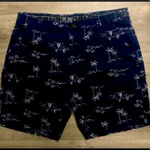 Denali Men's Stretchy Shorts